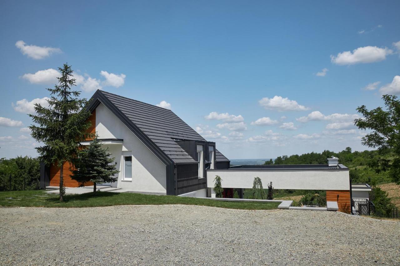 Riverside Pool Villa-Sremski Karlovci Esterno foto