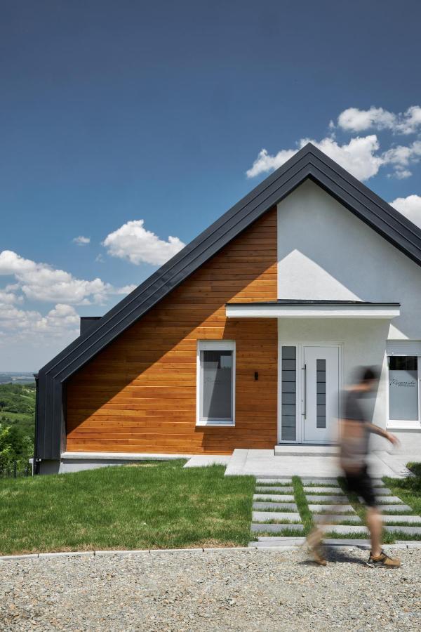 Riverside Pool Villa-Sremski Karlovci Esterno foto