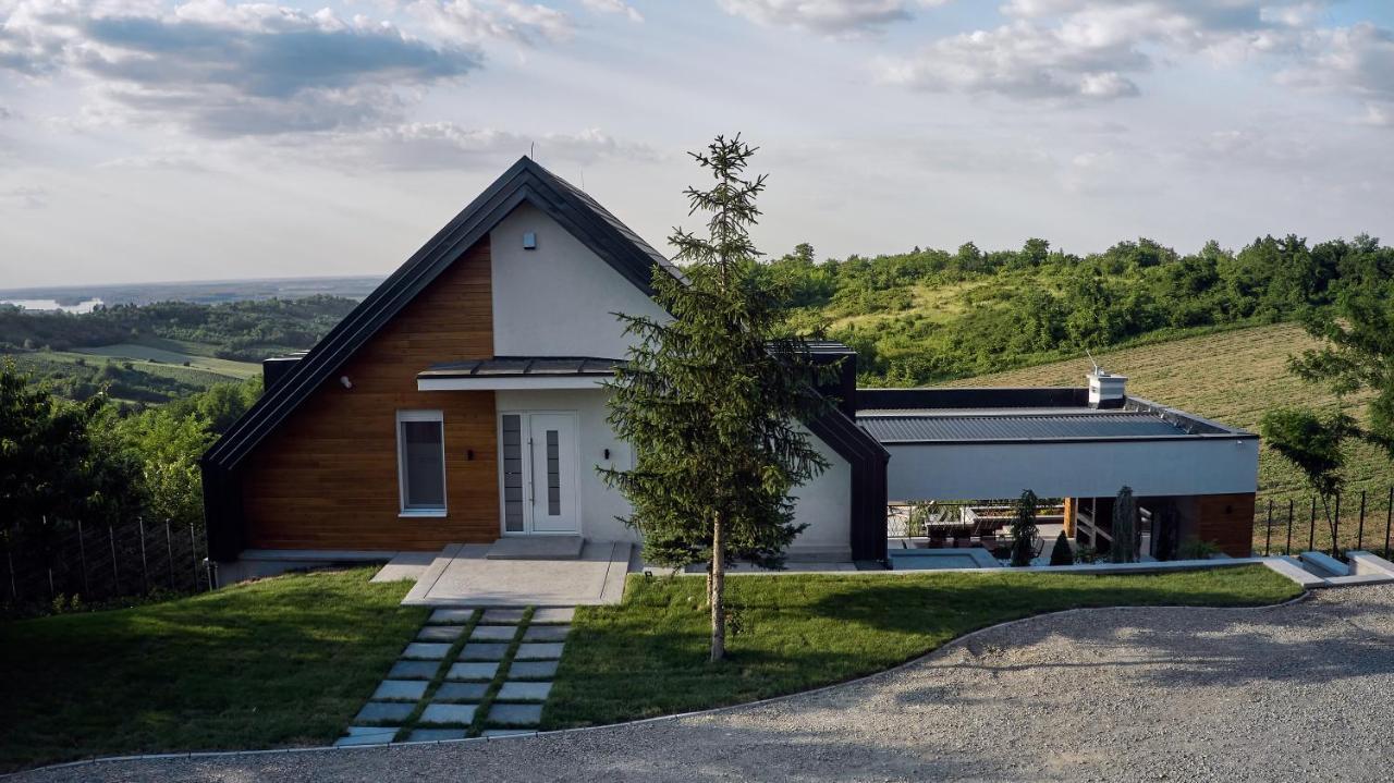 Riverside Pool Villa-Sremski Karlovci Esterno foto
