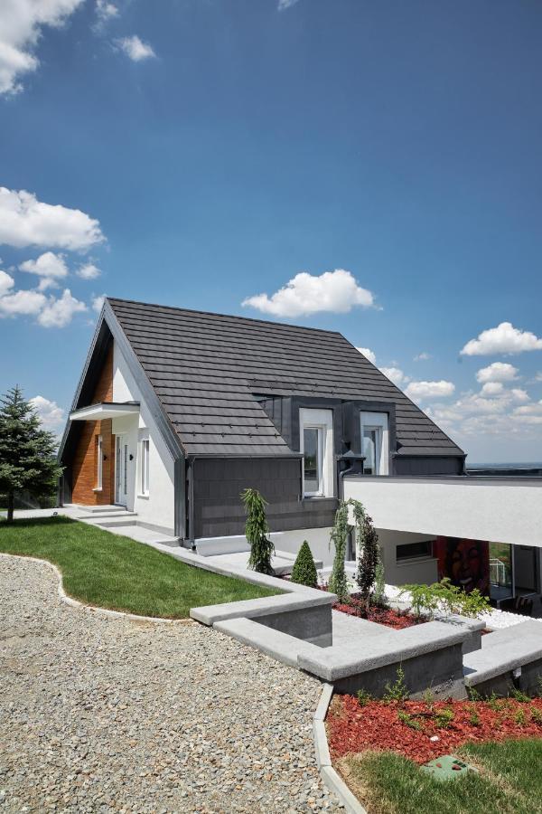Riverside Pool Villa-Sremski Karlovci Esterno foto